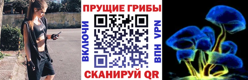 где найти   МЕГА ссылка  Галлюциногенные грибы GOLDEN TEACHER  Ардон 
